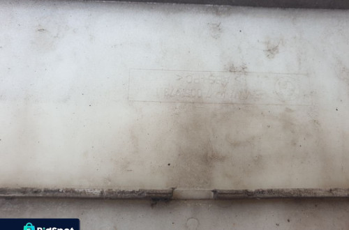 bmw e39 ramka podstawa tablicy rejestracyjnej titansilber metallic