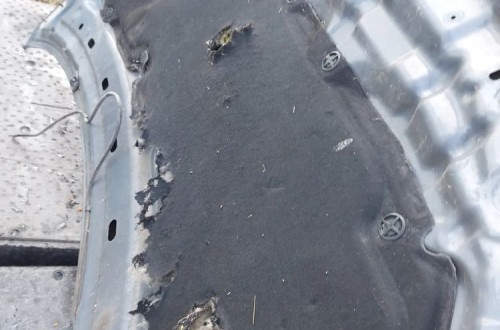 Maska pokrywa silnika  NISSAN PRIMERA P12