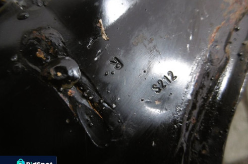 Sanki TRAWERSA AURIS