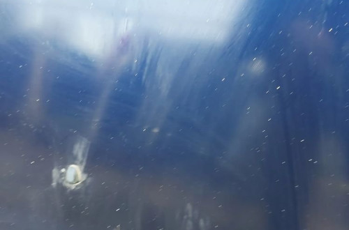 Maska pokrywa silnika MAZDA 5 05-10