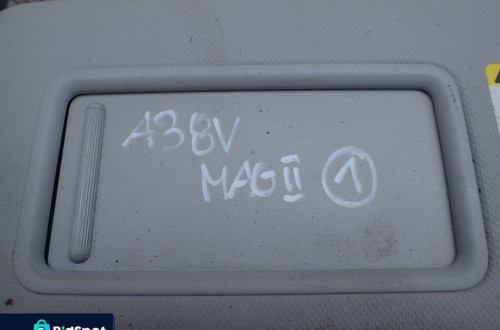 SŁONECZNIK OSŁONA PRZECIWSŁONECZNA LEWA AUDI A3 8V RADOM