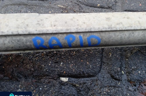 MAGLOWNICA SKODA RAPID 12-