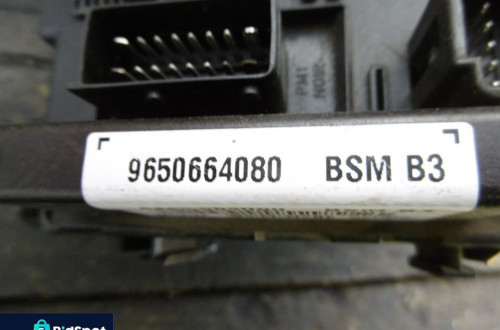 Moduł BSM B3 PEUGEOT 307 9650664080