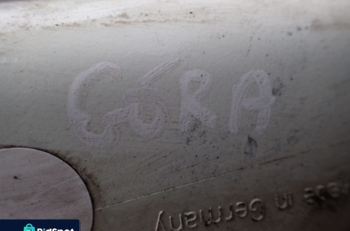 MIGACZ KIERUNEK PRZEDNI LEWY VOLVO V40  !!!