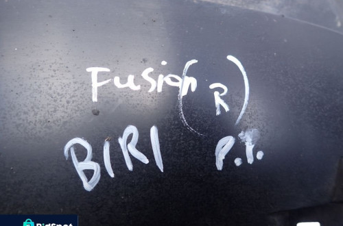 NADKOLE PRAWY PRZÓD FORD FUSION RADOM