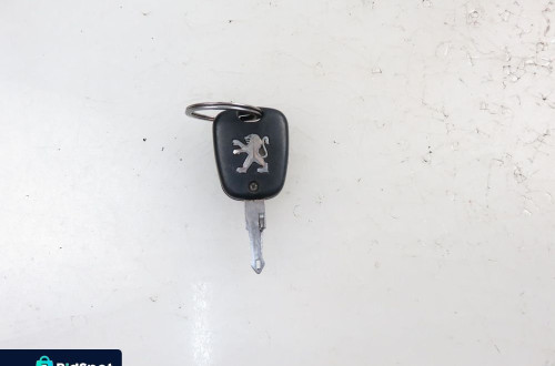STACYJKA PEUGEOT 206 N0501539