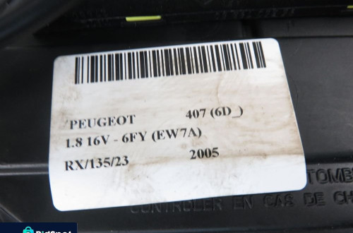 MODUŁ BSM PEUGEOT 407 (6D_) 9656005580 S118983001H