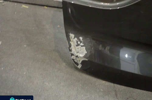 Klapa FORD PUMA MK2 2019-