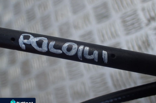 VW POLO IV 9N LINKA CIĘGNO OTWIERANIA MASKI 6Q1823531F RADOM