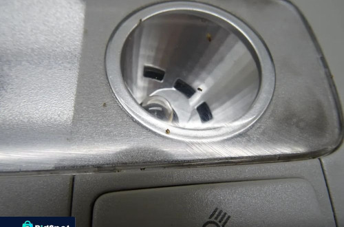 VW PASSAT B6 05-10 2.0 TDI LAMPKA PODSUFITKI OŚWIETLENIE KABINY
