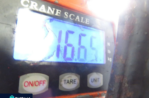 SANKI PRZÓD FIAT PUNTO II (188) 1.2 60