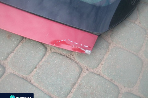 Klapa Renault Laguna II