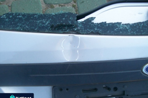 klapa Focus I kombi bez rdzy