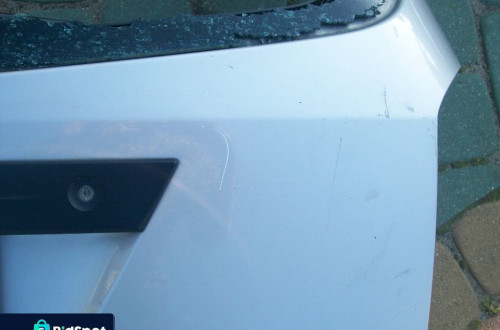 klapa Focus I kombi bez rdzy