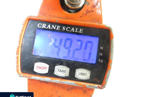 BELKA TYŁ RENAULT SCENIC II  MINIVAN