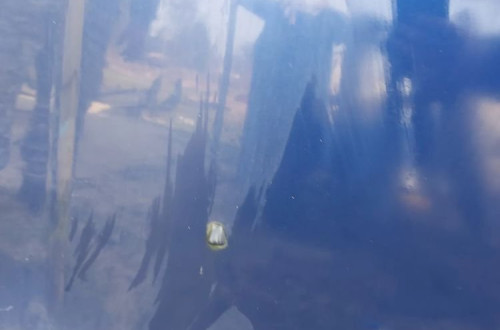 Maska Honda HR-V 02' Kod B96-P