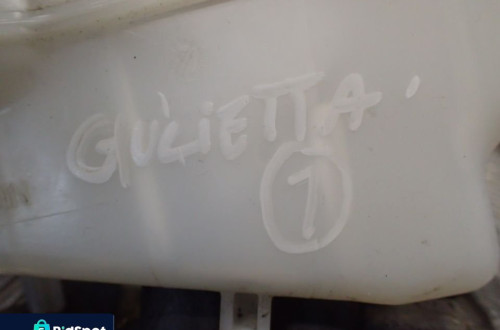 ALFA ROMEO GIULIETTA CYLINDER HAMULCA 03350890521