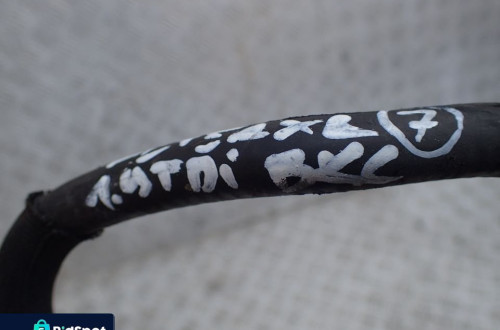 PRZEWODY PALIWOWE SEAT ALTEA 1,9 TDI RADOM