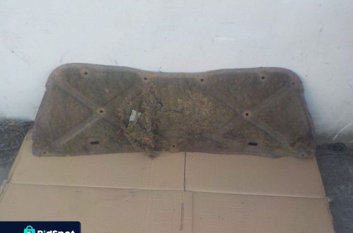 TOYOTA COROLLA VERSO WYGLUSZENIE MASKI