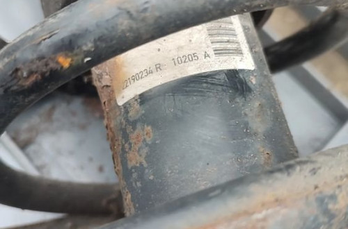 LAND ROVER FREELANDER Amortyzator osi tylnej ze sprężyną  22190234R