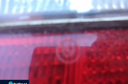 lampa LEWY tył bmw e36 oryginał