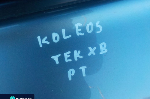 RENAULT KOLEOS I DRZWI PRAWY TYŁ TEKXB