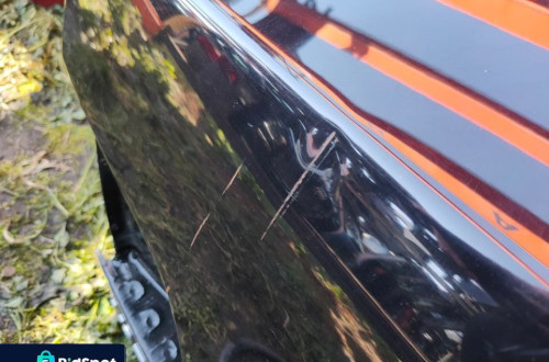 VW PHAETON 02-16r KLAPA BAGAŻNIKA TYŁ TYLNA