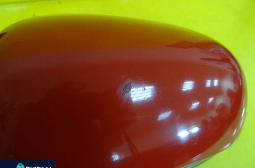 LUSTERKO LEWE ELEKTRYCZNE NISSAN ALMERA N16 3 PIN NR356