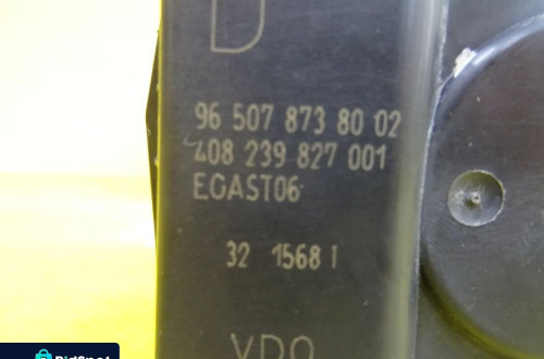 PRZEPUSTNICA CITROEN C5 408239827001 / 965078738002 NR15