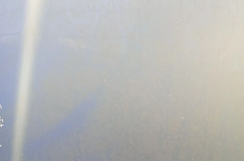 Maska Toyota Corolla HB 05' kod 8S1