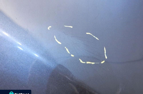 ZDERZAK TYLNY TYŁ LK7X VW EOS 1Q0807421