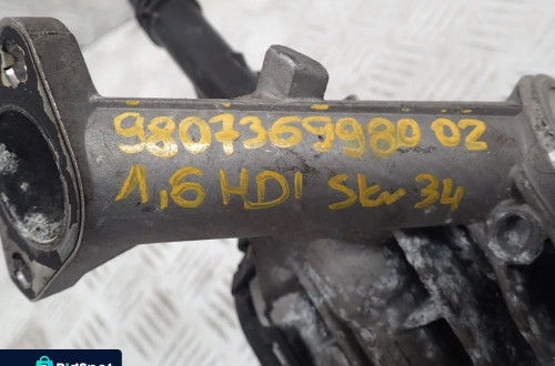 CITROEN PEUGEOT 1.6 BLUE HDI ZAWÓR EGR 9807369980