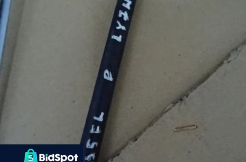 LISTWA LISTWY DACHOWE AUDI A4 B5 LIFT NR230