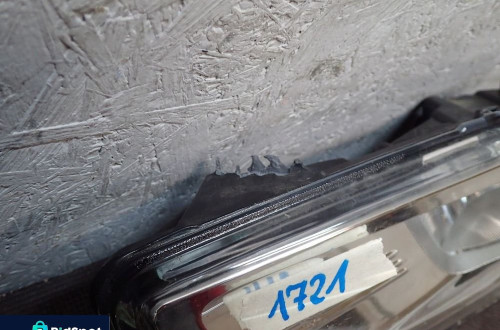 HALOGEN LEWY NISSAN X TRAIL T32 MICRA K14