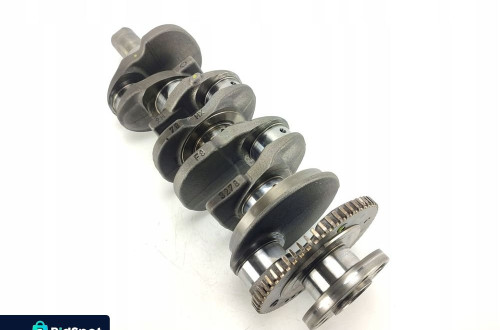 WAŁ KORBOWY RENAULT LAGUNA III 3 2007-2010 2.0 DCI 150KM M9R802 8200385152