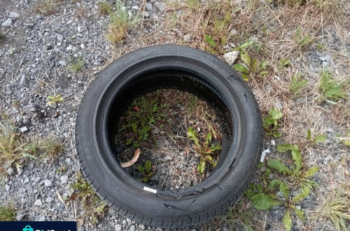 OPONA PIRELLI OUTSIDE CINTURATO RUN FLAT 225/50R17