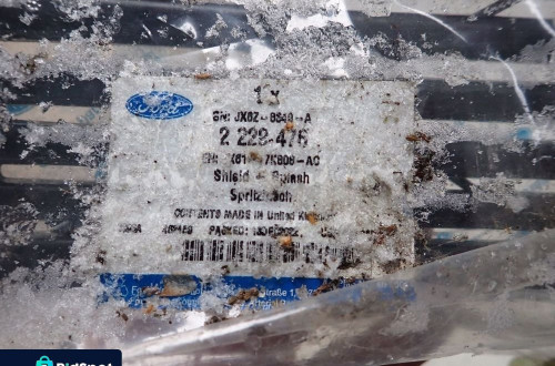 FORD FOCUS MK4 18- OSŁONA CHŁODNICY 2 229-476