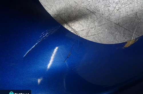 SKODA OCTAVIA II 04-08 VRS OSŁONA HALOGENA PRAWA LEWA