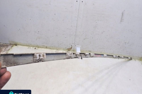 LISTWA DACHOWA DACHU PRAWA KCWD CITROEN C5 I LIFT