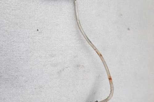SONDA LAMBDA H8201219741 MICRA K13 NOTE E12 1.2DIG