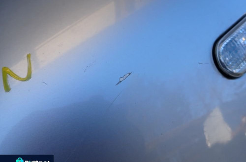 BŁOTNIK LEWY  PRZÓD SEAT LEON I TOLEDO I LS7N