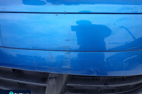 VW TOURAN I 1 03-06 ZDERZAK PRZÓD PRZEDNI