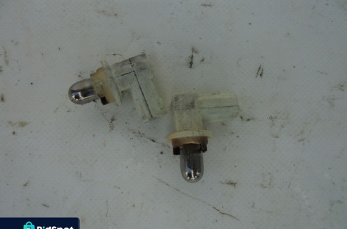 LAMPKA OŚWIETLENIA TABLICY REJESTRACYJNEJ TYŁ COROLLA VERSO II  F-VAT