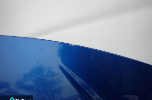 HONDA CIVIC IX 11- MASKA POKRYWA SILNIKA