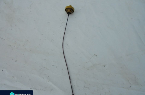MIARKA BAGNET OLEJU 1.9 DCI  RENAULT LAGUNA SCENIC MEGANE II  F-VAT