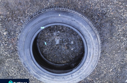 195/65R15 91V DUNLOP SP SPORT 200 OPONA 1 SZTUKA