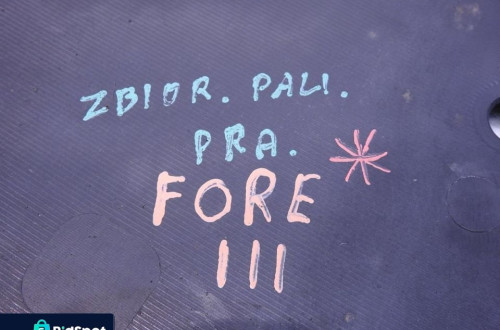 OSŁONA ZBIORNIKA PALIWA PRAWA SUBARU FORESTER III