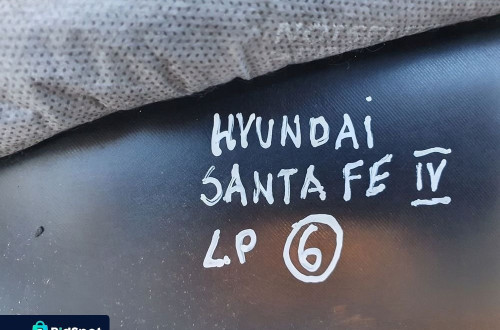 Hyundai Santa Fe IV PRZEDNI BOCZEK DRZWI LEWY