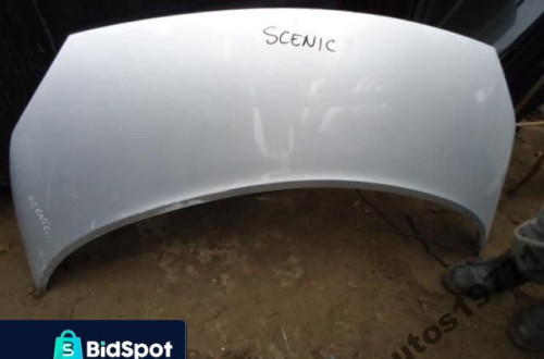 RENAULT SCENIC II MASKA