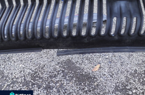 PODSZYBIE OSŁONA 1M1853185 SEAT LEON I 99-05 WERSJA EUROPEJSKA